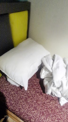 Photo from customer review